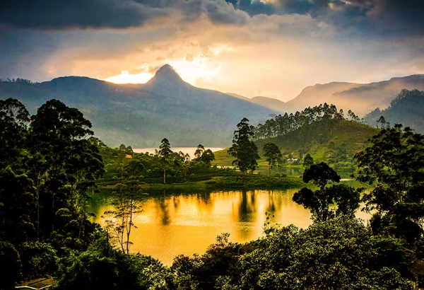 Sri Lanka Family Vacation Tour: 8 Days of Heritage & Nature