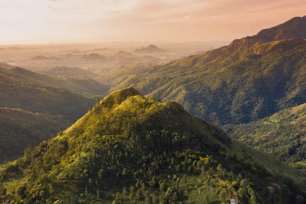 Sri Lanka Family Vacation Tour: 8 Days of Heritage & Nature — photo 1