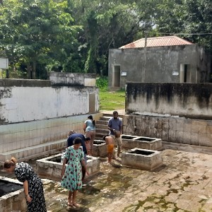 Sri Lanka Family Vacation Tour: 8 Days of Heritage & Nature