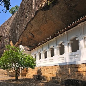 Sri Lanka Family Vacation Tour: 8 Days of Heritage & Nature