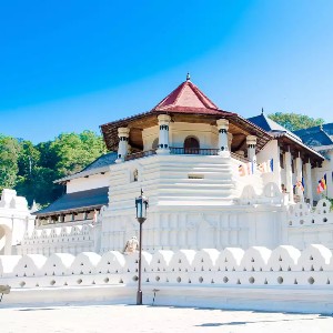 Sri Lanka Family Vacation Tour: 8 Days of Heritage & Nature