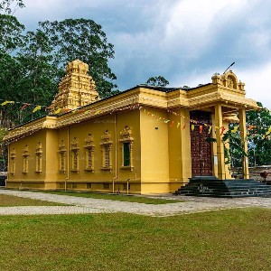 Sri Lanka Family Vacation Tour: 8 Days of Heritage & Nature