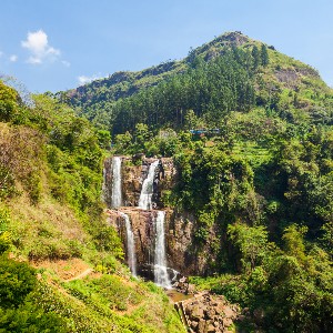 Sri Lanka Family Vacation Tour: 8 Days of Heritage & Nature