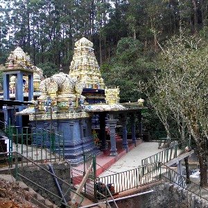 Sri Lanka Family Vacation Tour: 8 Days of Heritage & Nature