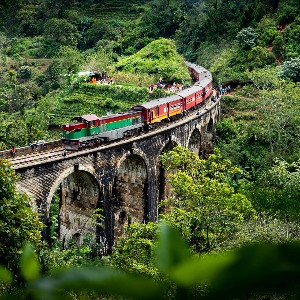 Sri Lanka Family Vacation Tour: 8 Days of Heritage & Nature