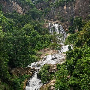 Sri Lanka Family Vacation Tour: 8 Days of Heritage & Nature