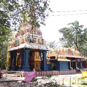 Sri Lanka Family Vacation Tour: 8 Days of Heritage & Nature