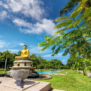 Sri Lanka Family Vacation Tour: 8 Days of Heritage & Nature