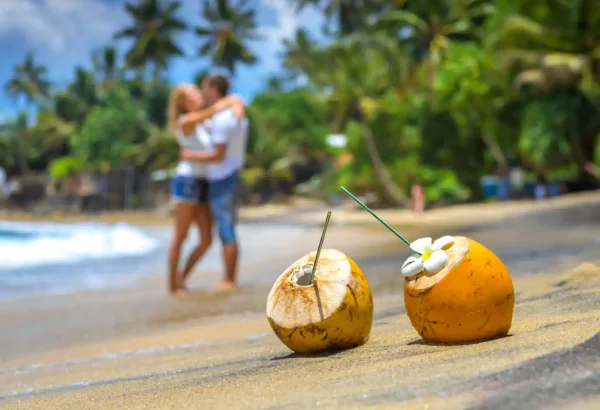 Sri Lanka Honeymoon Packages: Romance Across the Island