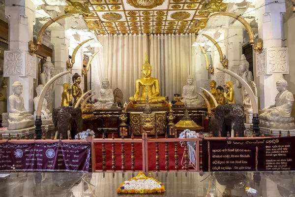 Sri Lanka Honeymoon Packages: Romance Across the Island — photo 1