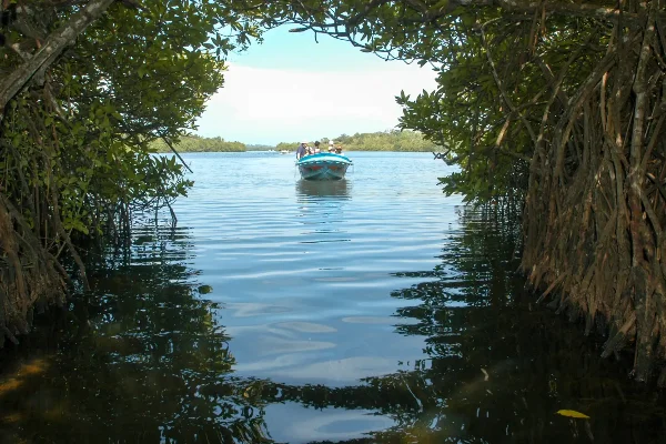 Sri Lanka Honeymoon Packages: Romance Across the Island — photo 3