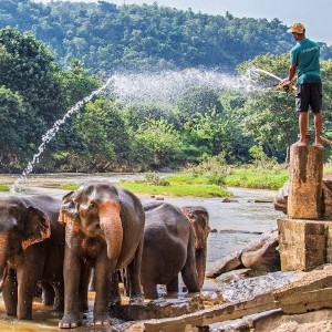 Sri Lanka Honeymoon Packages: Romance Across the Island