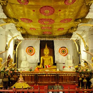 Sri Lanka Honeymoon Packages: Romance Across the Island
