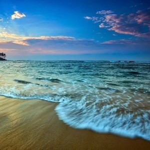 Sri Lanka Honeymoon Packages: Romance Across the Island