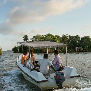 Sri Lanka Honeymoon Packages: Romance Across the Island