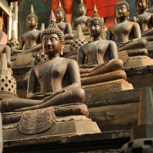 Sri Lanka Honeymoon Packages: Romance Across the Island