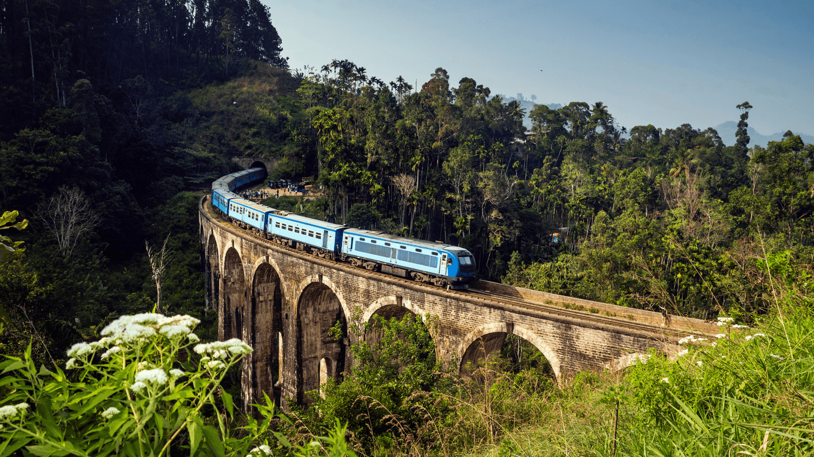 Sri Lanka Tour Packages 5 Days: The Perfect Getaway