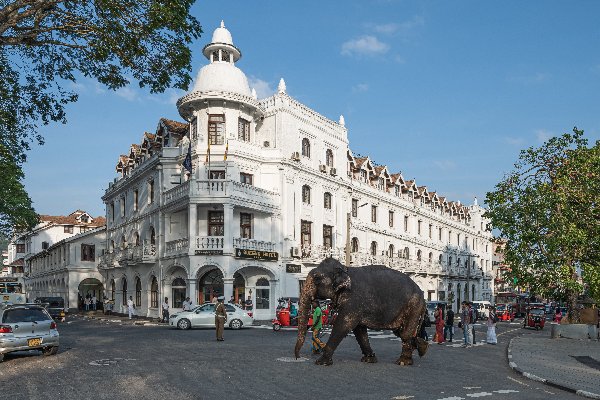 Sri Lanka Tour Packages 5 Days: The Perfect Getaway — photo 1