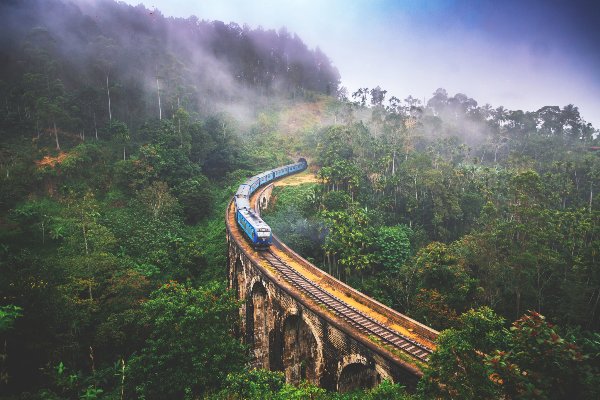 Sri Lanka Tour Packages 5 Days: The Perfect Getaway — photo 4