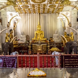 Sri Lanka Tour Packages 5 Days: A Perfect Blend of Culture and Coastline