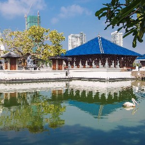 Sri Lanka Tour Packages 5 Days: A Perfect Blend of Culture and Coastline