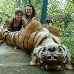 Thailand 8 Nights 9 Days Itinerary: Explore, Relax, and Discover