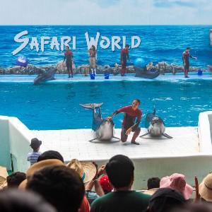 Thailand 8 Nights 9 Days Itinerary: Explore, Relax, and Discover