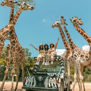 Thailand 8 Nights 9 Days Itinerary: Explore, Relax, and Discover