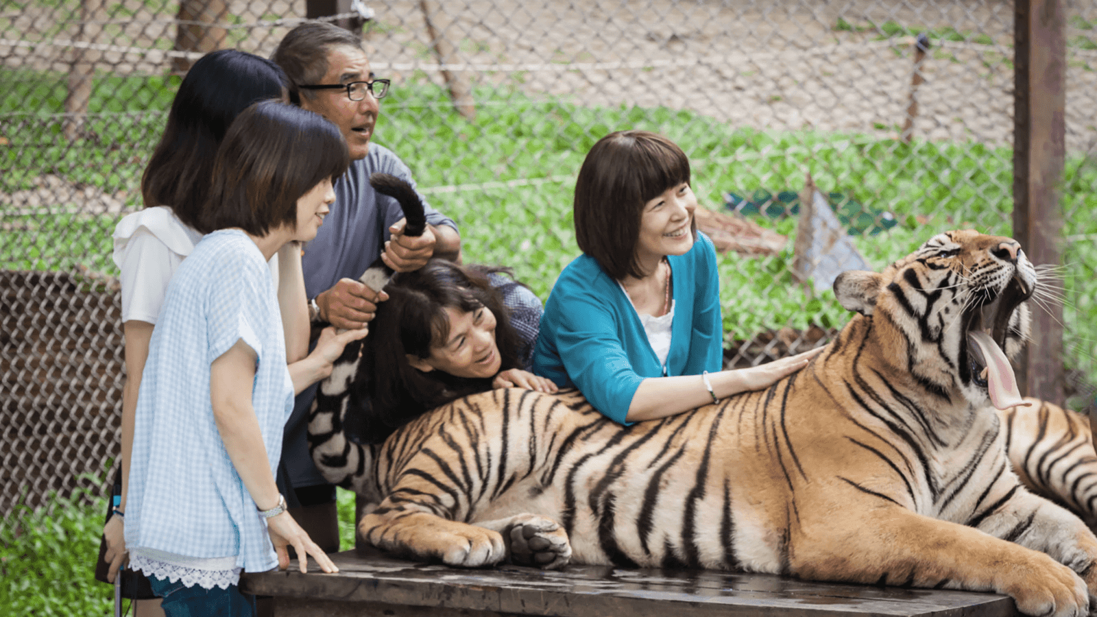 Thailand Family Trip: Phuket Islands, City Tour & Tiger Kingdom