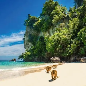 Thailand Family Trip: Phuket Islands, City Tour & Tiger Kingdom