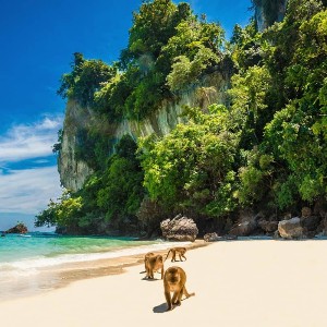 Two Hearts, One Journey: Dreamy Thailand Trip Couple Package