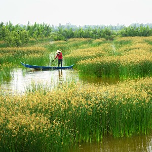 Vietnam Couple Honeymoon: 6D/5N Ho Chi Minh & Danang