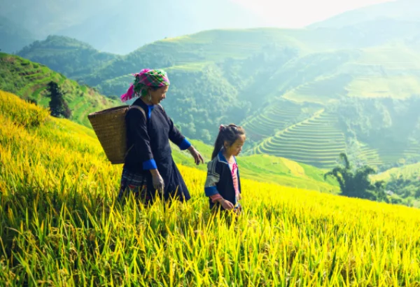 Vietnam Family Holidays: 6D/5N Ho Chi Minh & Danang