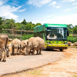 Vietnam Honeymoon Couple Package: A Romantic Getaway