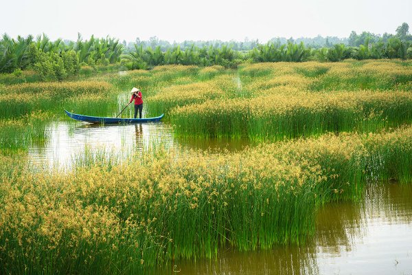 Vietnam Tour Package for Couples with Mekong & Cu Chi Tours — photo 2