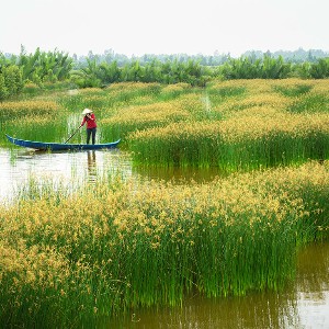 Vietnam Tour Package for Couples with Mekong & Cu Chi Tours