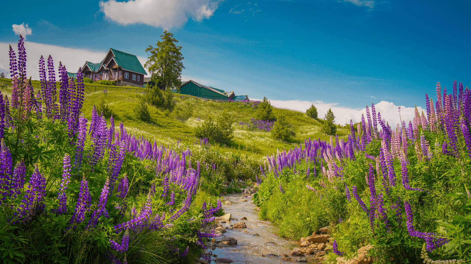 Where Love Meets the Mountains: Kashmir Couple Package