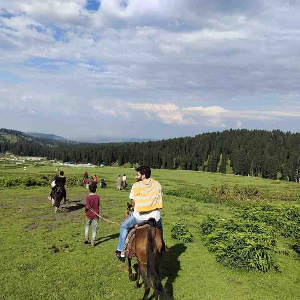 Where Love Meets the Mountains: Kashmir Couple Package