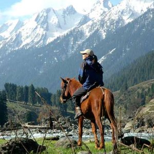 Where Love Meets the Mountains: Kashmir Couple Package