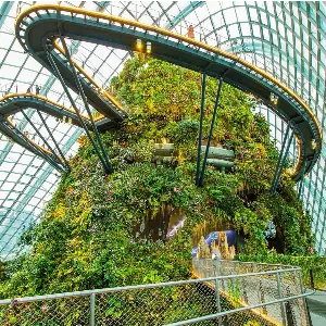 Your Perfect 5 Days Singapore Tour Package for Family & Friends