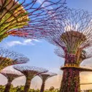 Your Perfect 5 Days Singapore Tour Package for Family & Friends
