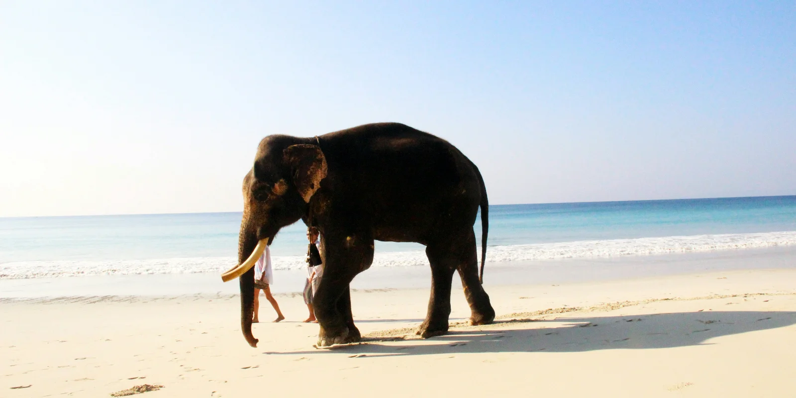Andaman Honeymoon Tours