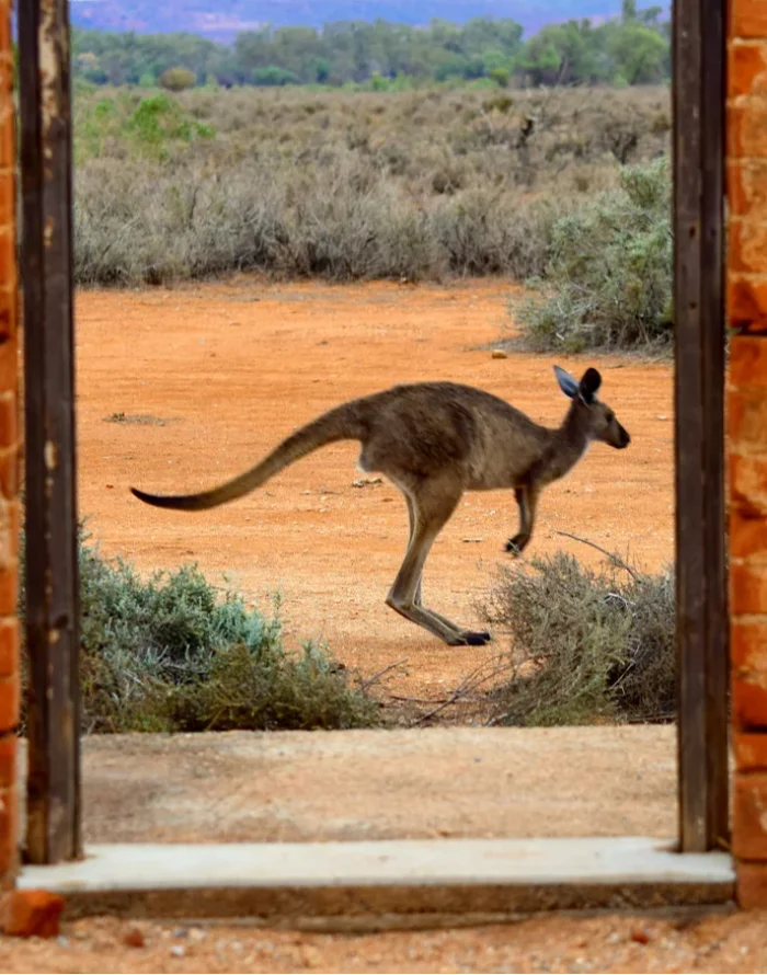 Australia